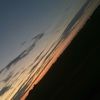 brooklynhens485